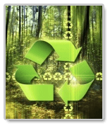 Essays on Recycling