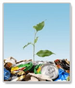 essays about pollution