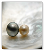  Essays on The Pearl and Girl with a Pearl Earring