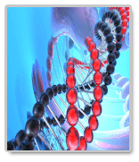 Essays on DNA