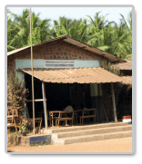 Essays on Education in India