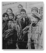 essays on the final solution