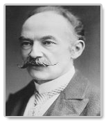 essays on thomas hardy