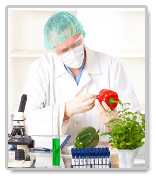 essays on genetic engineering