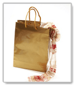 bag book report
