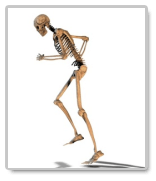 biology coursework