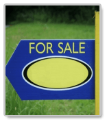 essays for sale