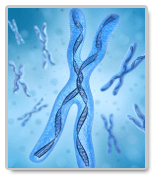 essays on genetics