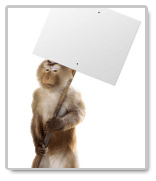 sell your essay