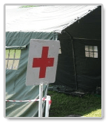 disaster management essay