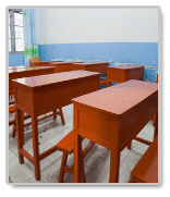 essay on literacy