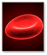 essays on blood
