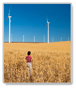 essays on science and technology