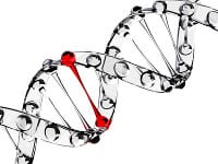 biology-topics