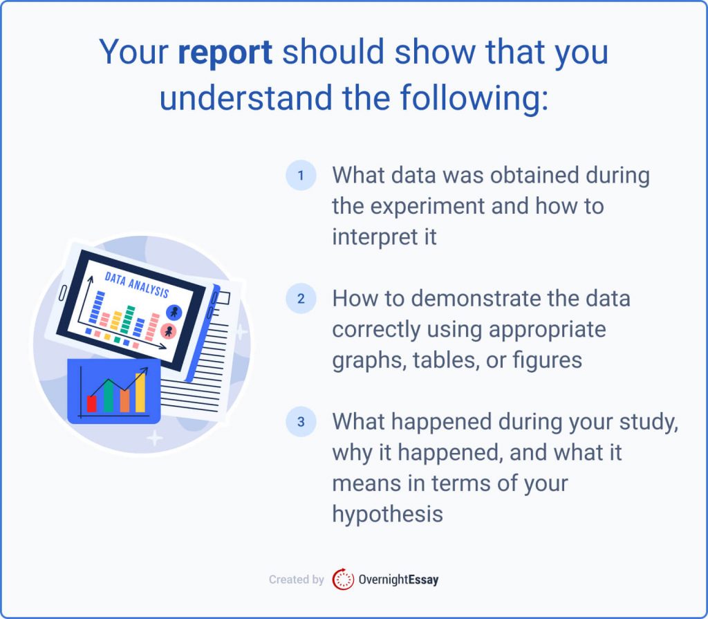 3 Key things that your report should show.